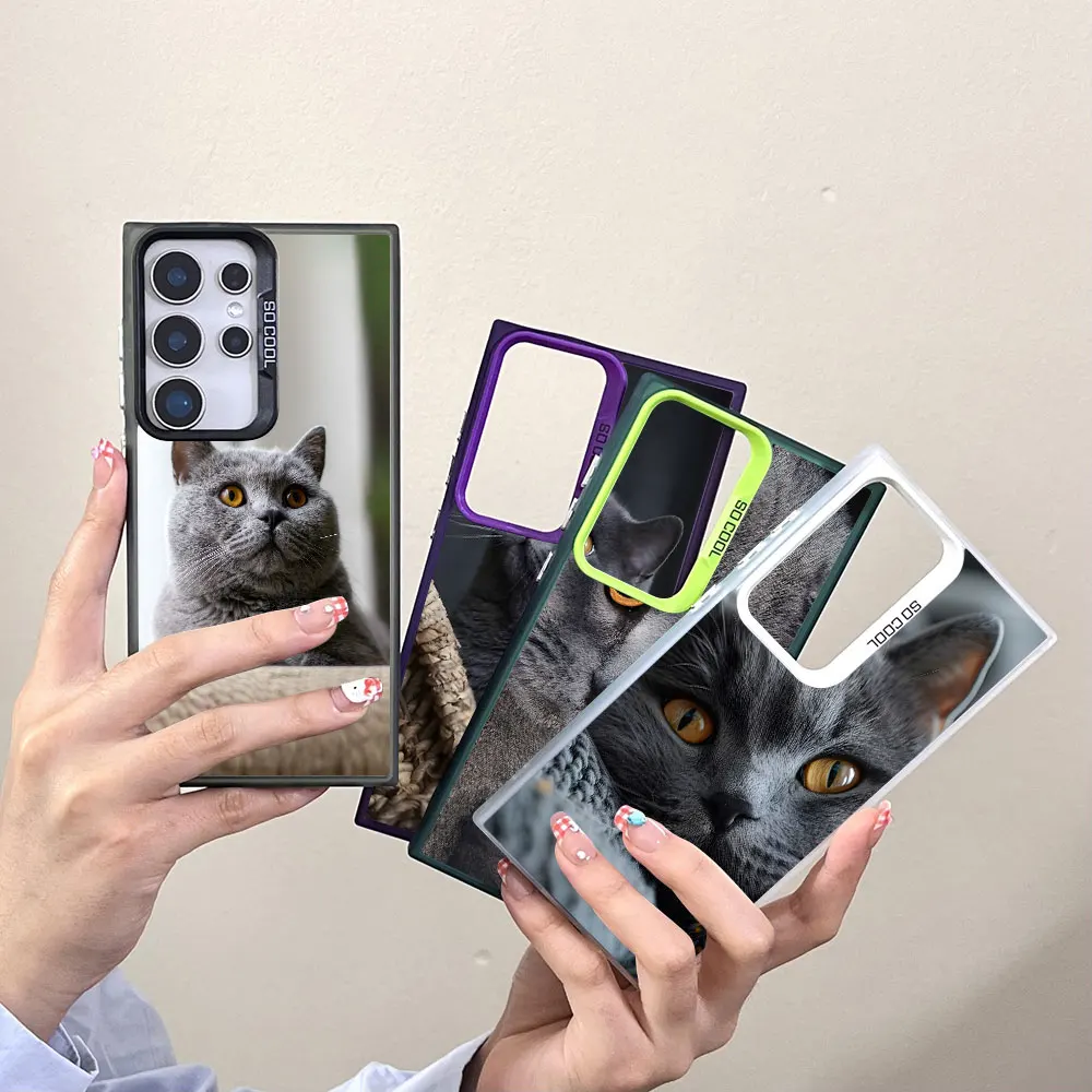 Cute British Shorthair Cat Case for Samsung Galaxy A07 A04 A04s A10 A20s A04e A05s A06 A50s A30 A02s A03 Shockproof Phone Cover