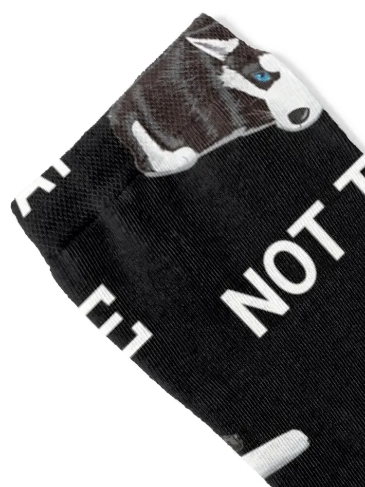 Cute Nope Not Today Husky Puppy Dog Socks winter thermal football crazy hockey Socks For Women Men's