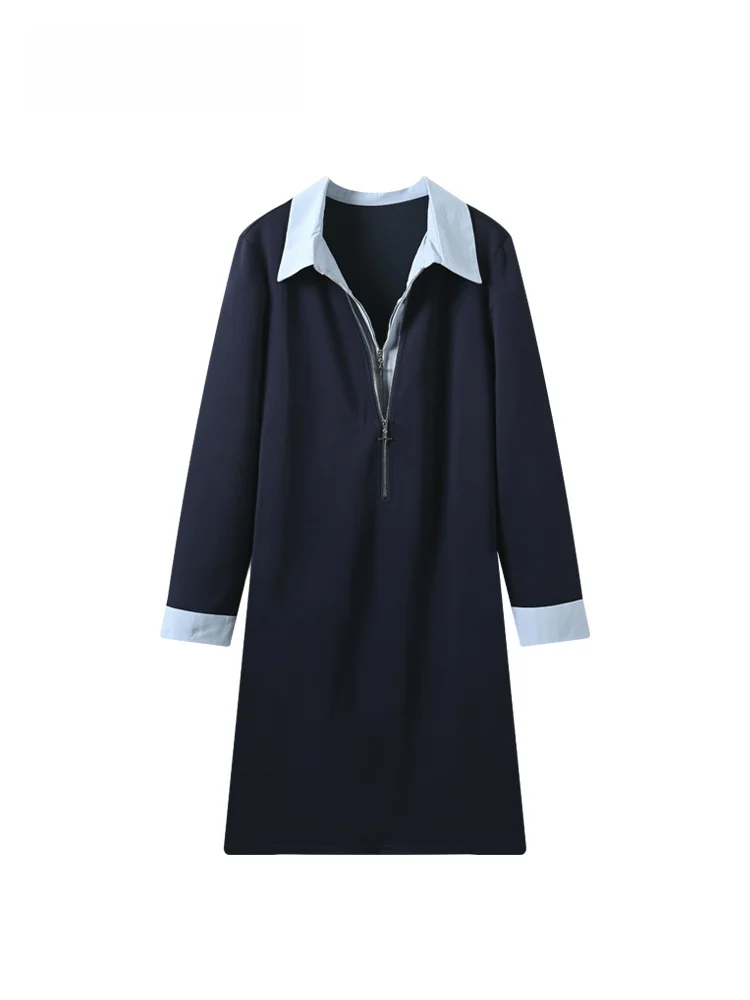 

Casual Ne Long Sve Dr Women plus Size Spring New Sle A-Line Polyester Fiber Straight Cut Casual Faion