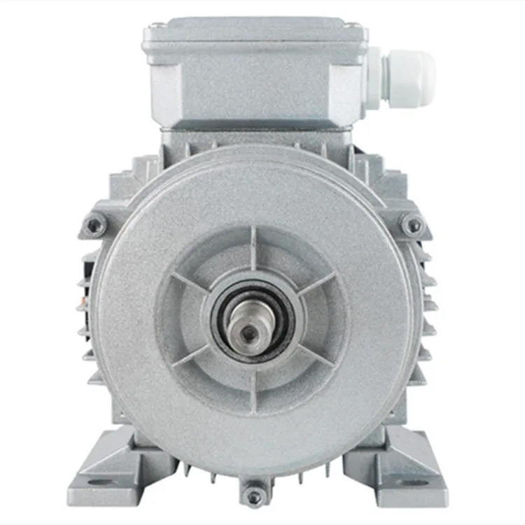 0.75kw High Power 380v YE2 All Copper Three-phase Asynchronous Induction Motor