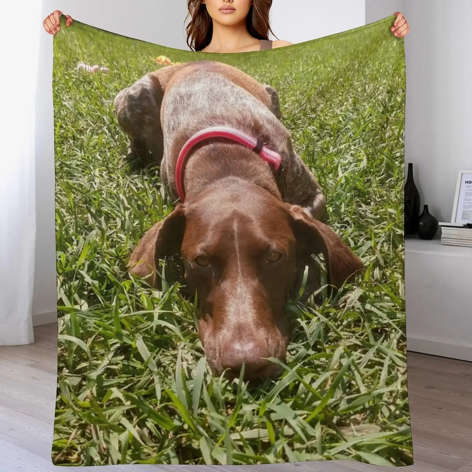 New Summer Days with a Sharp-eyed Companion: A German Shorthair Pointer on the Hunt Throw Blanket Designers Sofa Quilt Blankets