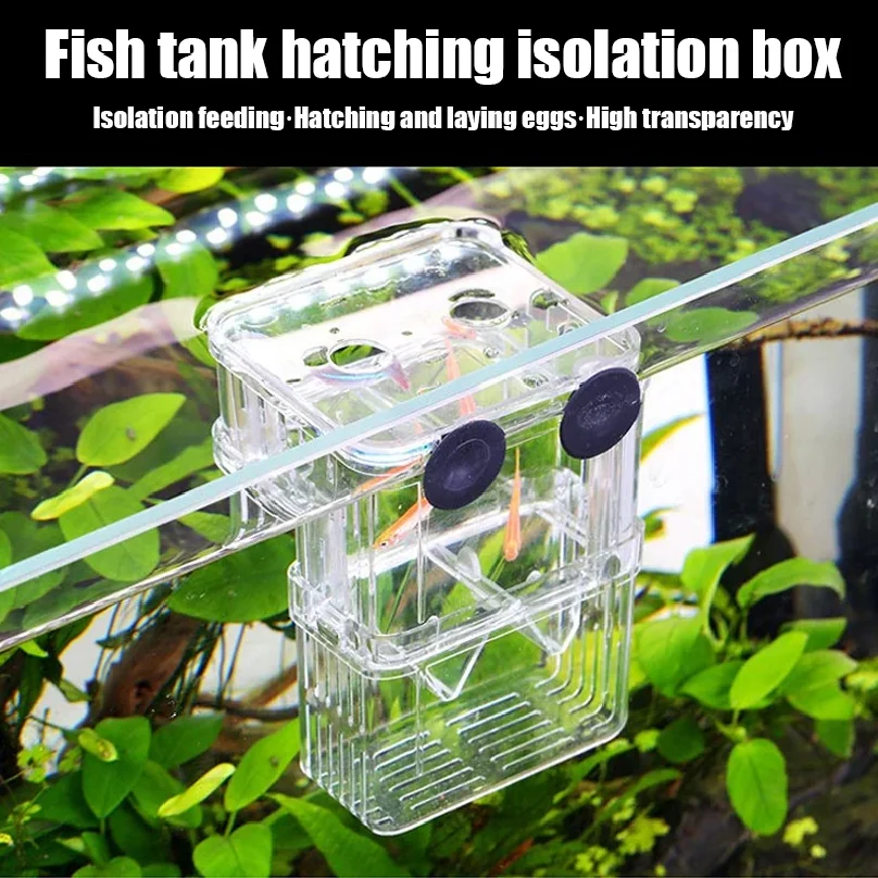 1PC 수족관 물고기 사육 상자 내구성 있는 베타 물고 - Aquarium Fish Betta 리뷰 및 가격