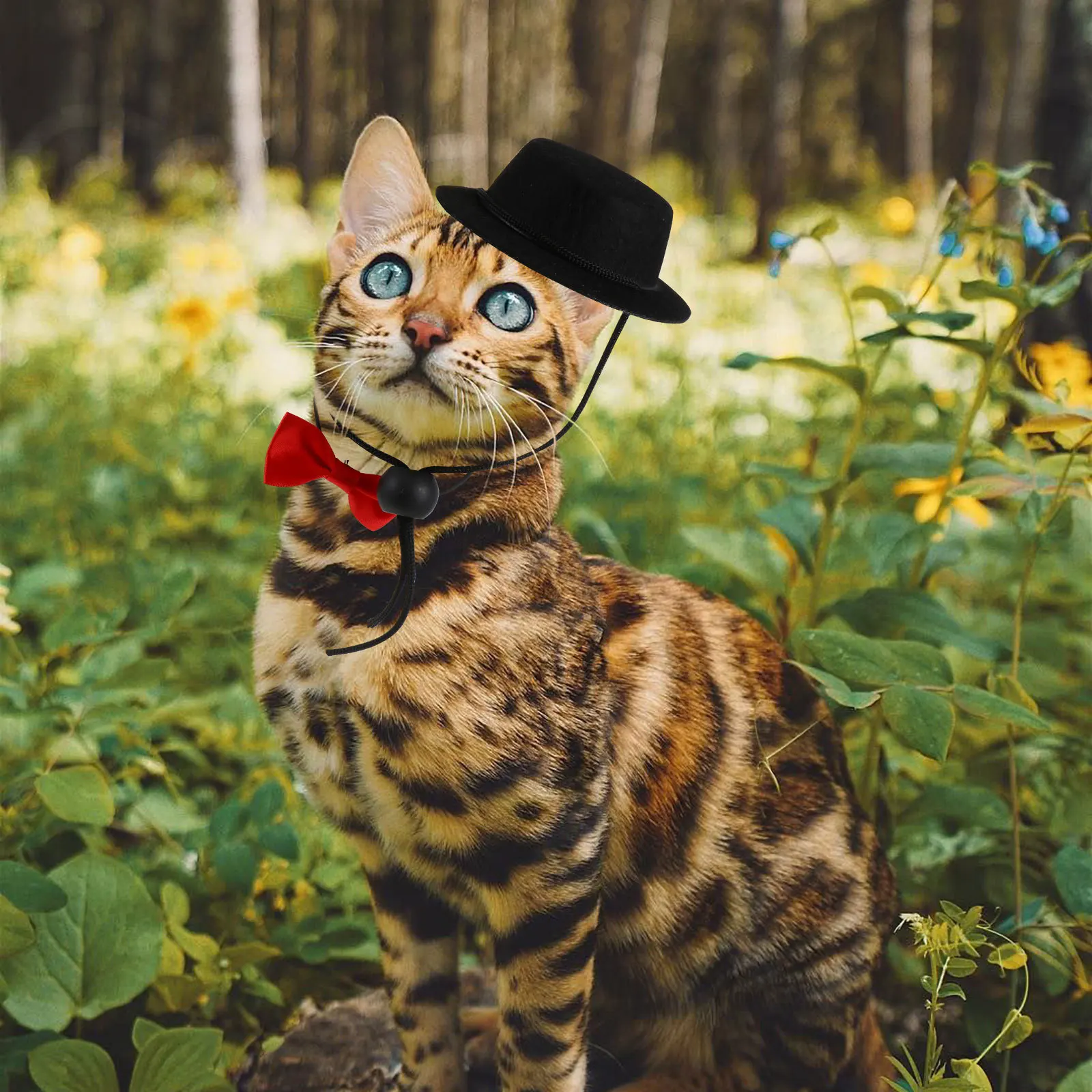 

2Pcs Pet Hat and Bowtie Set Fashion Headwear for Small Animals Adjustable Decorative Costume Ideal for Birthday Masquerade