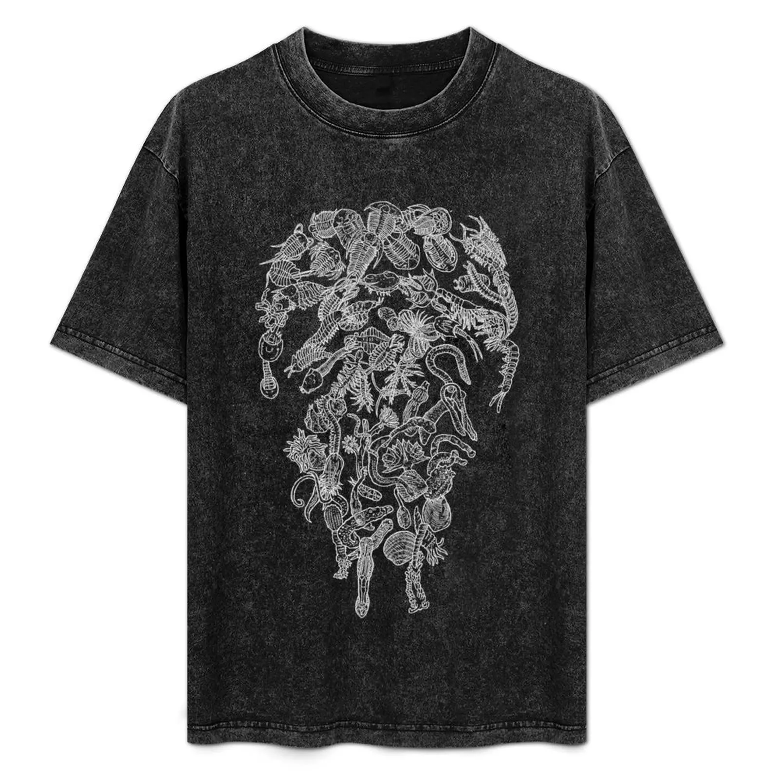 

Copy of Protostomia, trilobites, velvetworm, worms, tardigrades etc - Eevolution - White and Black T-Shirt