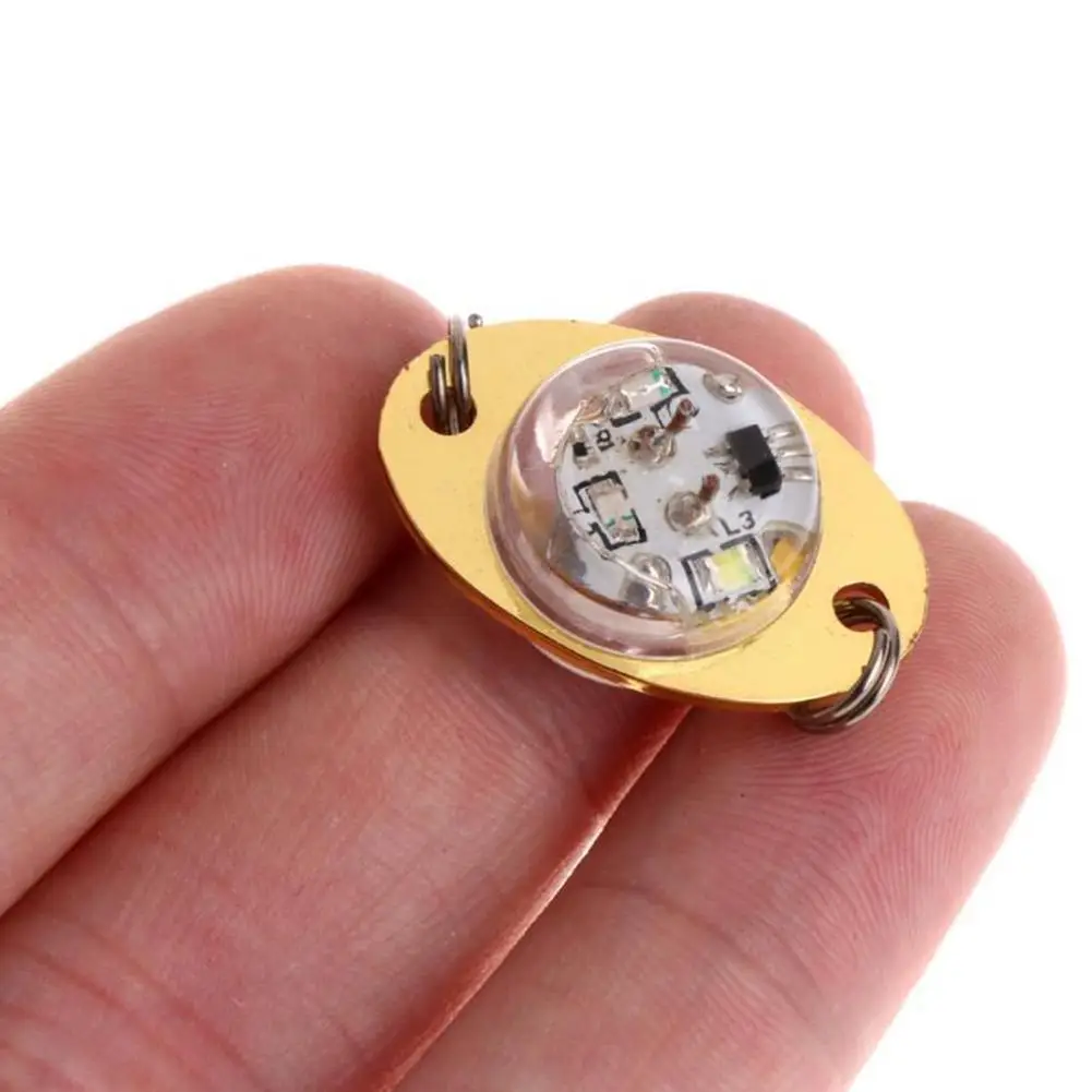 تحت الماء مصباح الصيد جمع الأسماك مجموعة مصباح توهج ليلة عميق إغراء الصيد الكهربائية LED جذب الصيد إغراء الملحقات