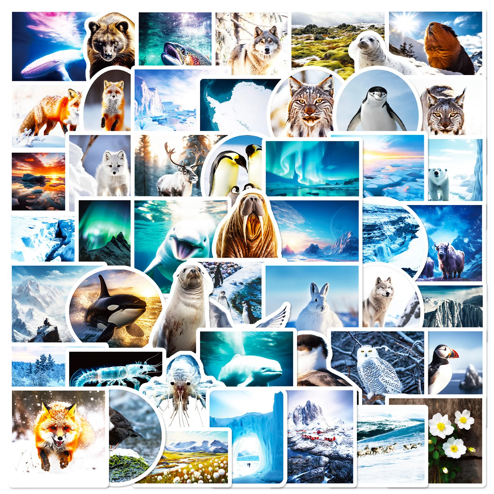 10/50pcs South and North Poles Scenery Stickers Aesthetic Decals DIY Scrapbooking Phone Luggage Car Graffiti Decoration Sticker