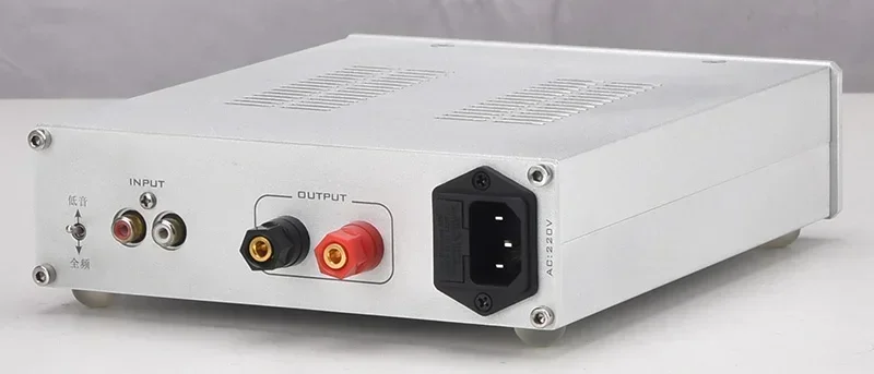 AC100-240V TPA3255 Моно 600 Вт Высокомощный полночастотный/сабвуфер Дополнительный цифровой аудиоусилитель Fever