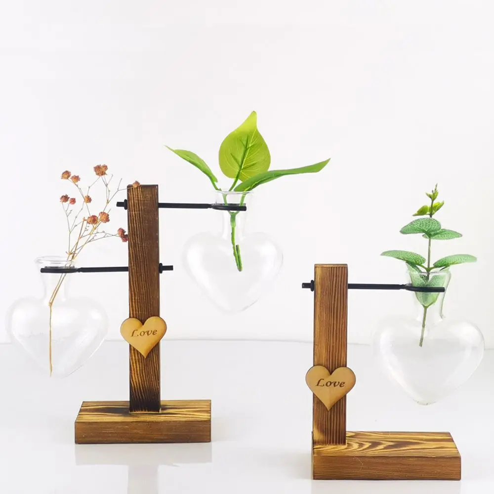 Vase en verre transparent pour les dirigeants d'avocat, kit de plantes pour les amateurs de jardinage