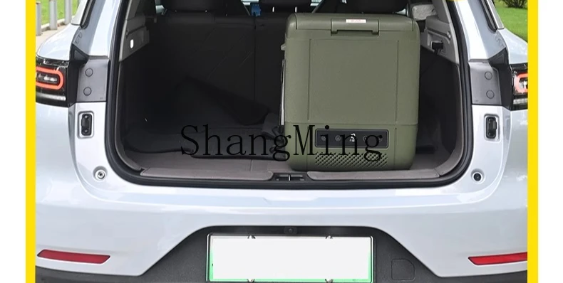 ZYY frigorifero per auto, casa, doppio scopo, conservazione degli alimenti all'aperto, piccolo congelatore ricaricabile