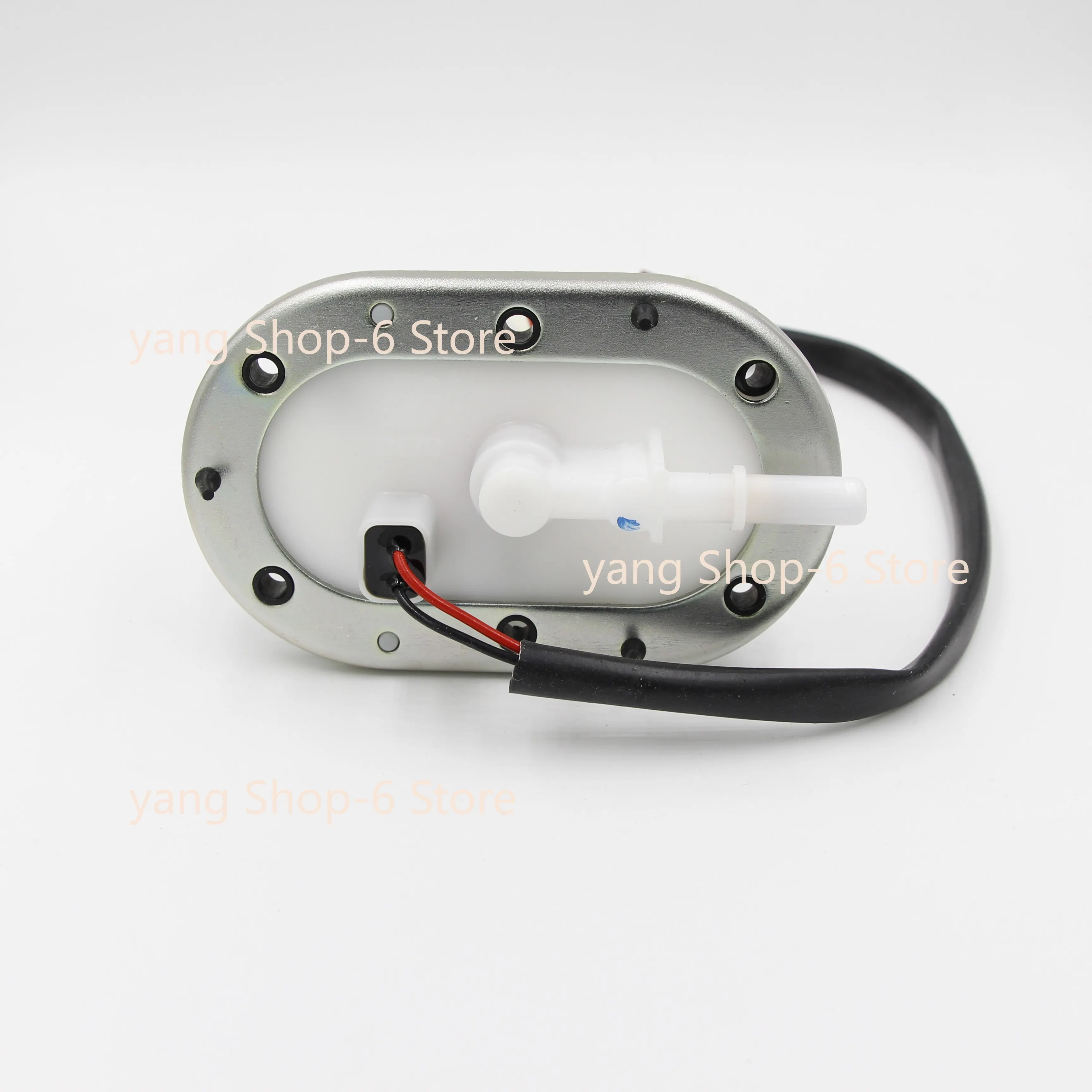 

Motorcycle Engine Parts EFI Petrol Oil Fuel Pump Assembly For Pentora 200 ATV Pentora200