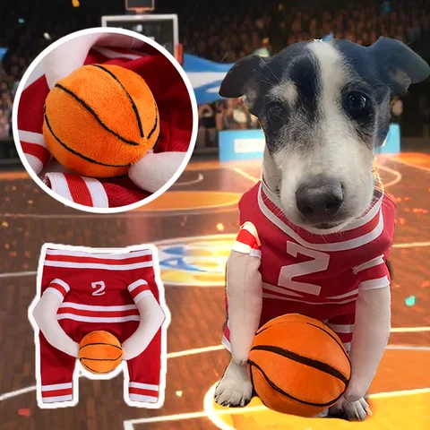 Halloween Pet Costume for Small Medium Dogs Cats Basketball Makeup Party Funny Puppy Kitty Clothes Cute Sphynx Chihuahua Apparel