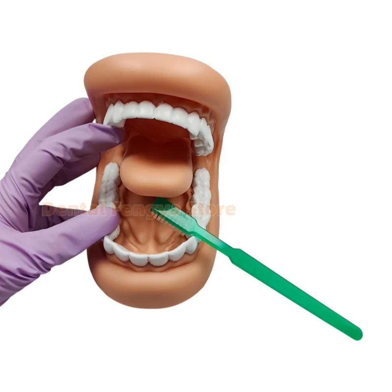 1 Pcs Dental Kids Model Mighty Mouth Hand With Tongue Pediatric Baby Teeth Brushing Demo Model for Oral Teaching