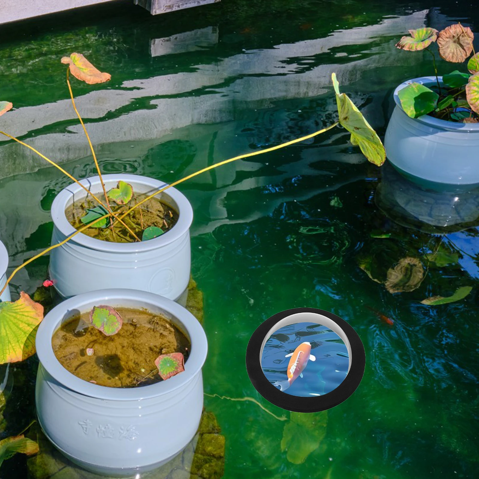 

Pond Floating Cover Fish Viewing Dome Transparent Acrylic EVA Material Waterproof Easy Maintenance Outdoor Garden Pool