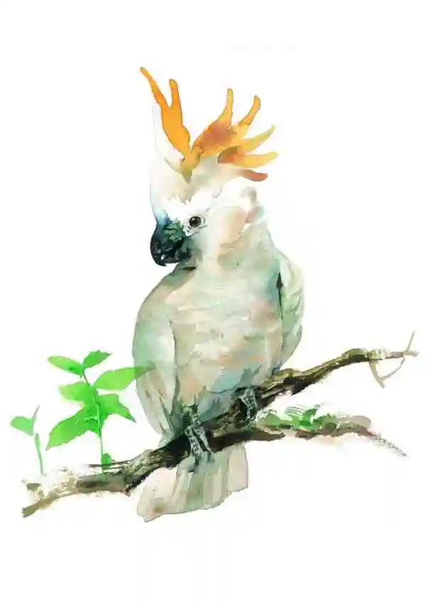 

RGT 1/10 Wrangler JK four Door PC Printing Body Shell For EX86100 1:10 RC Crawler Axial SCX10 Redcat 313mm Wheelbase P86100