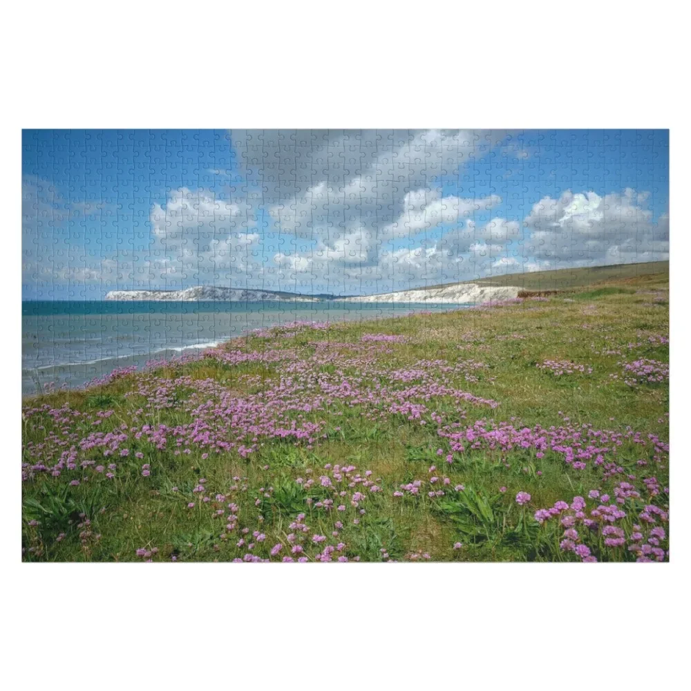 

Compton Bay Sea Thrift Jigsaw Puzzle Personalized Baby Toy Jigsaw Pieces Adults Woodens For Adults Wood Adults Puzzle