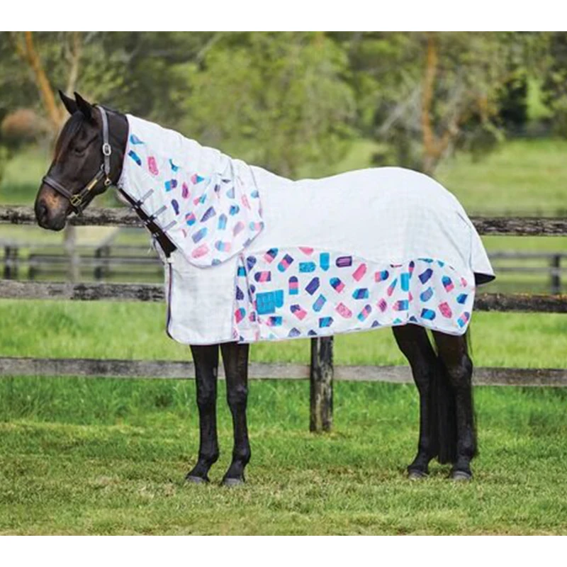 Professional Magnet Horse Racing Equine Equipment Horse Rug with Horse Sheet