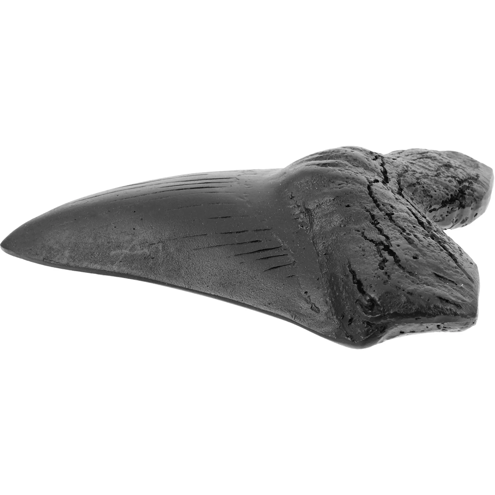 giant-shark-resin-specimen-paleontology-decor-desktop-gift-novelty-home-decor