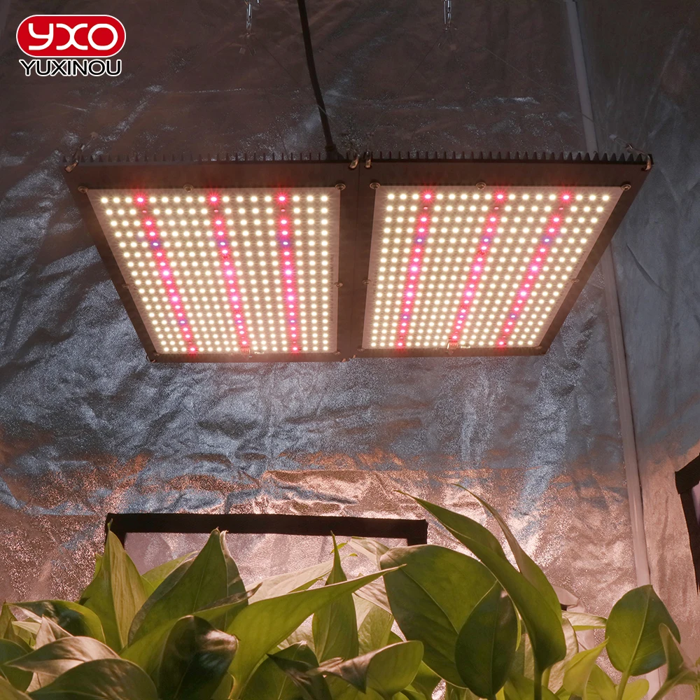 

Sam-sumg Lm301H Quantum 120W 240W LED Grow Light Full Spectrum Phyto Lamp AC85-240V 40W For Indoor Grow Tent Plants Growth Light