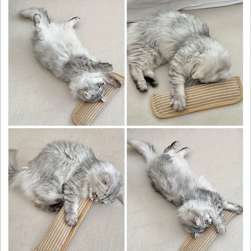 Thumbnail 4 - #6 Trending Cat Toys Right Now