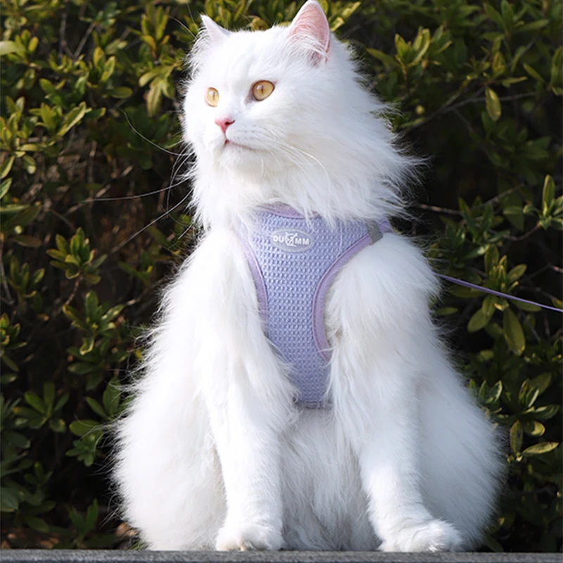 Hoopet Katzen leine Walking Katzen leine Anti-Breakaway Haustier Ausflug Unterhemd Typ kleiner Hund Welpen Brustgurt Lieferungen
