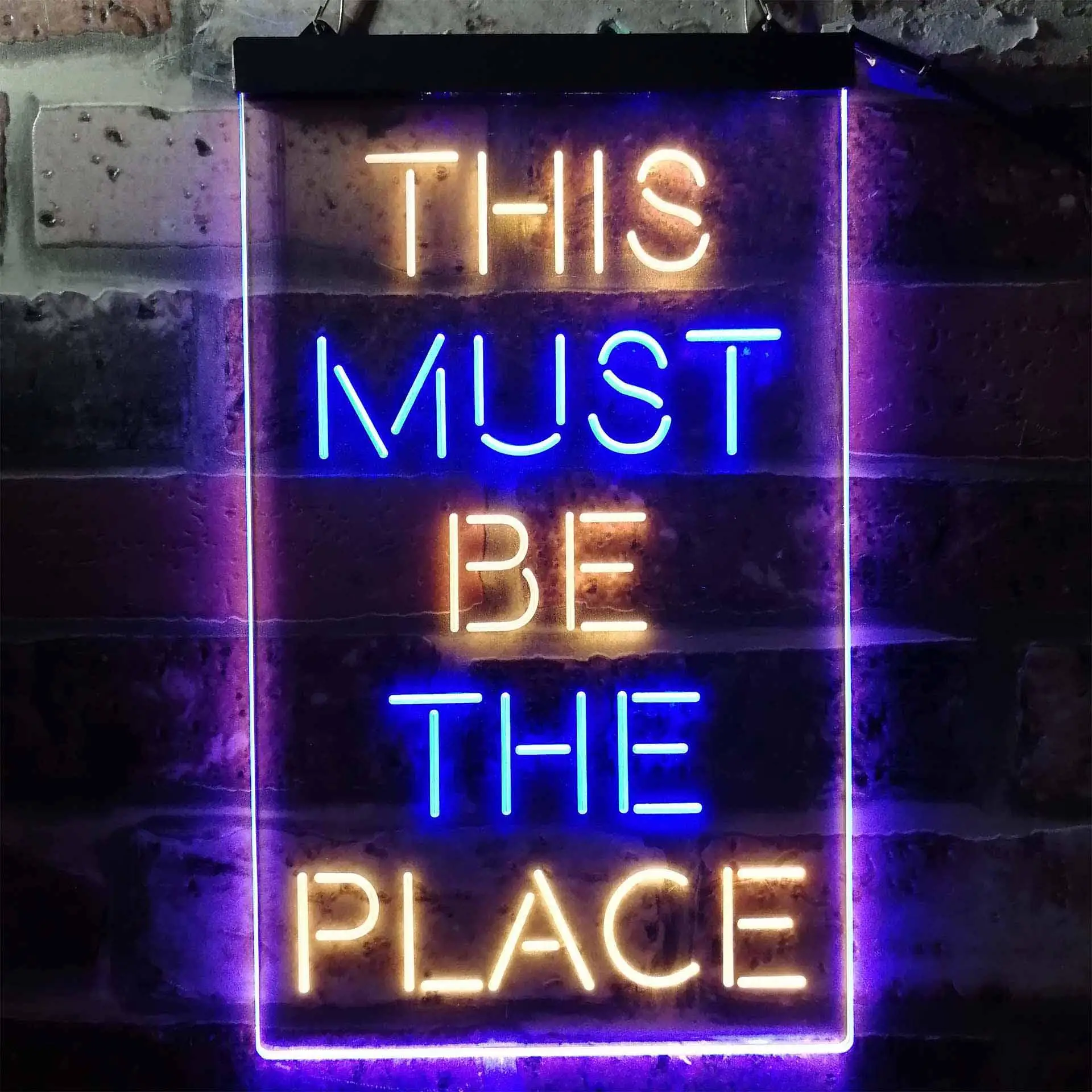 This Must Be The Place Dual Color Led Neon Sign st6-i3775 - view 5