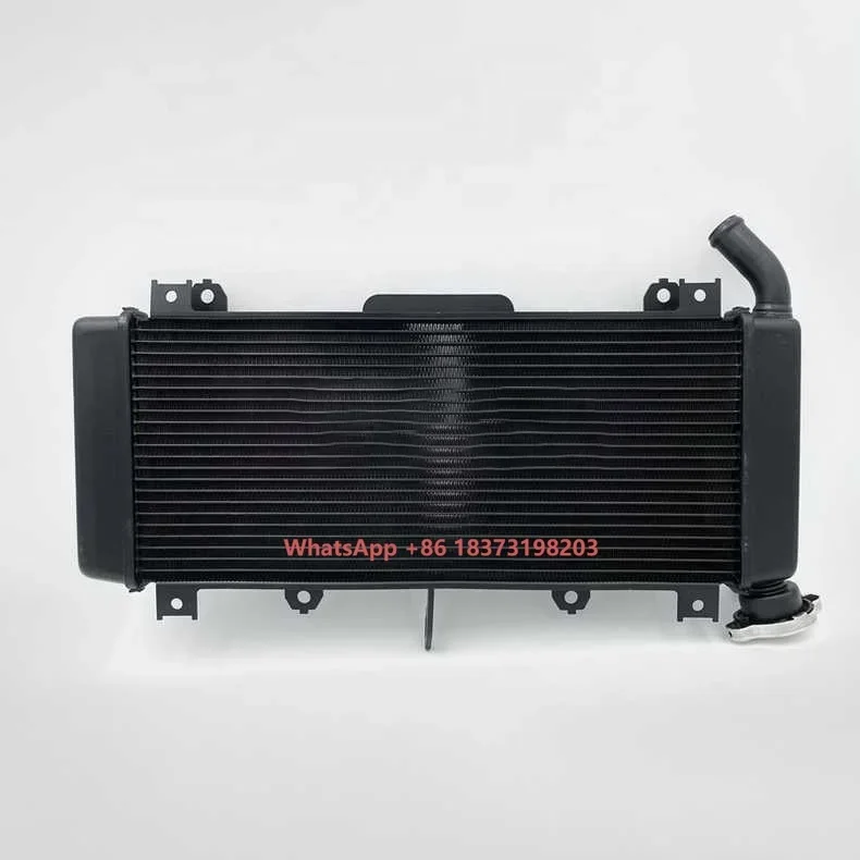 

CQJB Factory Motorcycle Cooling System Parts Aluminium Fe350 Radiator Motorcycle Radiator Guards