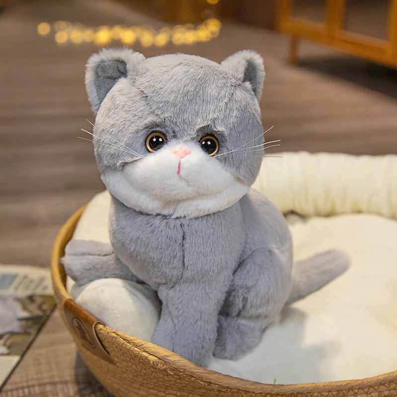 Jouet en peluche de chat de dessin animé réaliste pour les filles, jouet de beurre mignon, décoration d'intérieur, beaux chats, cadeaux de Noël, simulation, 26cm