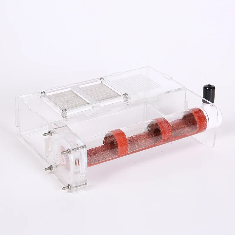 

1PCS Ant Nest Acrylic Cage Small Bamboo Community with 30 Diameter and Large Activity Area Ant Farm Ant Feeding Area