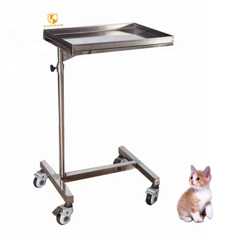 

EURPET Portable Stainless Steel Doctor Nurse Medical Trolley Hospital Monitor Trolley For Medical