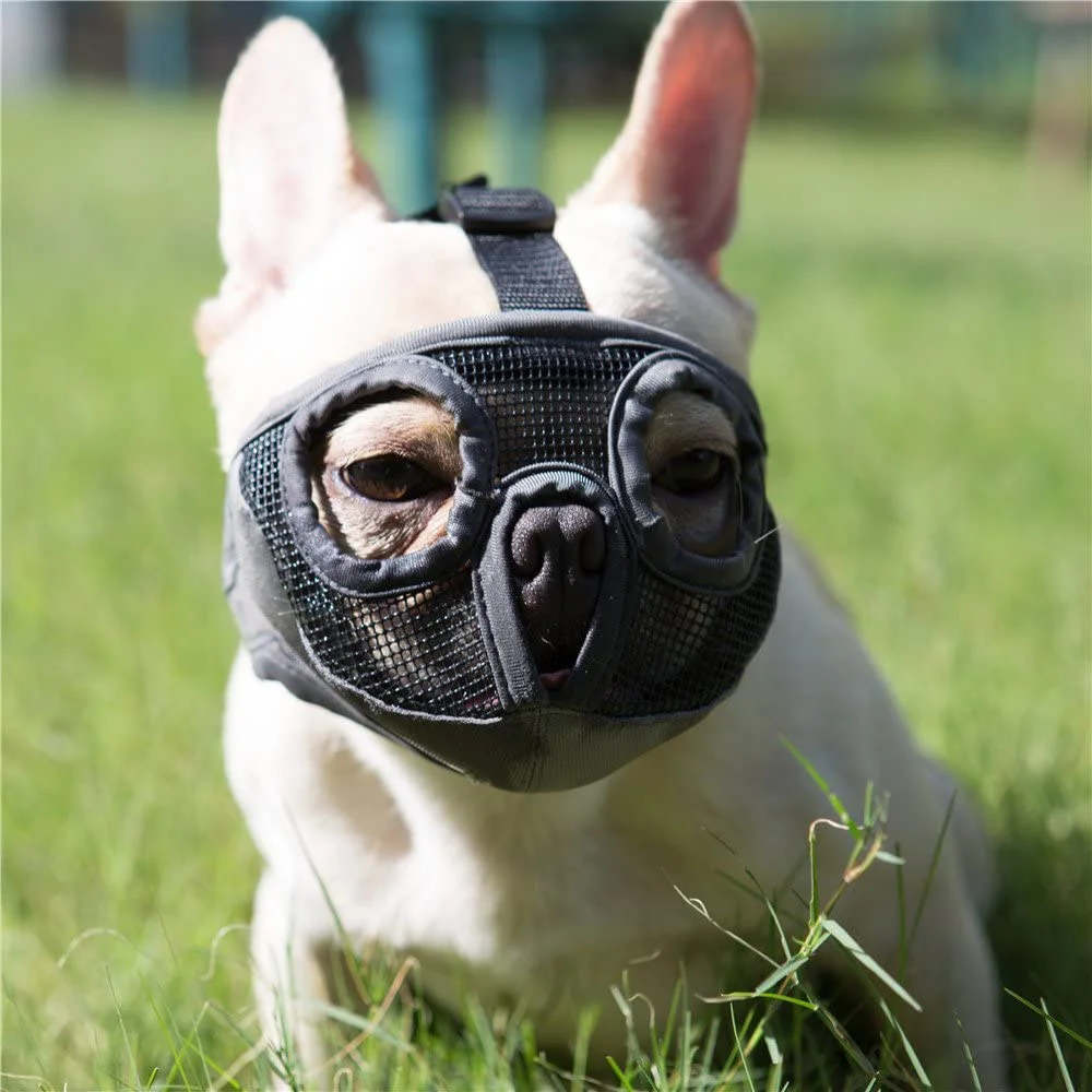 Adjustable Safety For Short Snout Pet Anti Stop Barking Chew Bulldog Muzzle Dog Mask Pet Product Mouse Basket