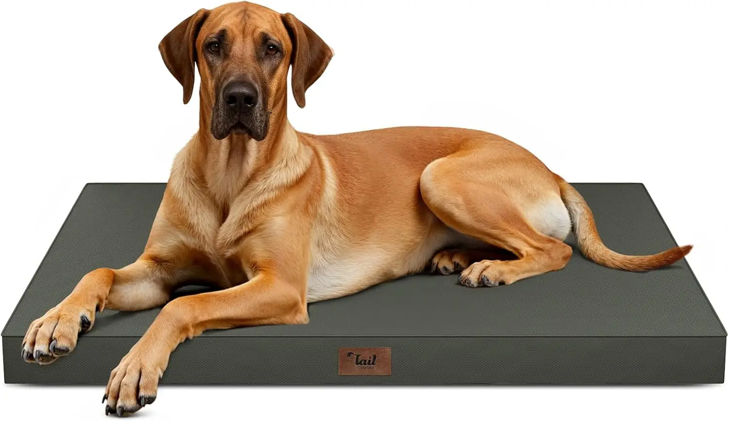 

Jumbo Waterproof Dog Bed for Large Dogs, Orthopedic Egg Crate Foam, Removable Oxford Cover, Brown