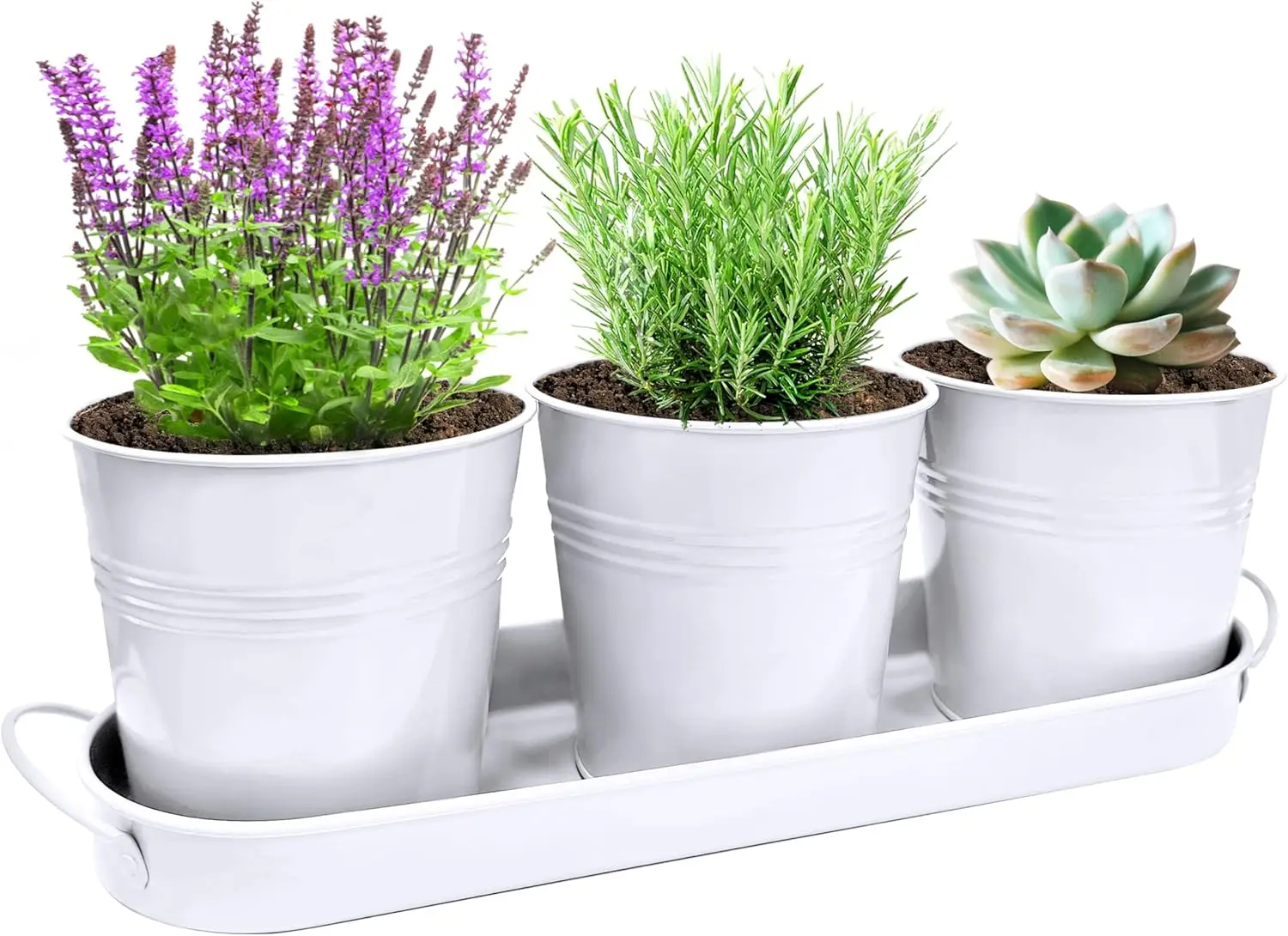 

Indoor Herb Garden Planter Set - 3 Pack 4.7" White Metal Plant Pots with Drainage Holes & Removable Tray - Windowsill Ki