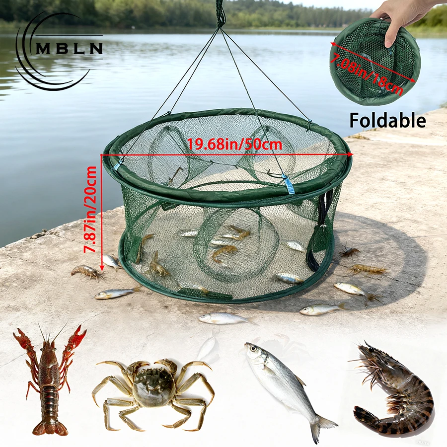 #5 Trending Fishing Traps Right Now