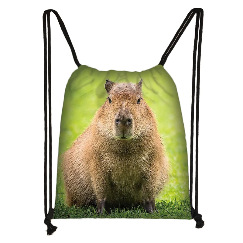 Sacs à dos College animaux Capybara pour femmes, sac à cordon de proximité côtelé, sacs de rangement pour voyage, sac à livres étudiant, cadeau,