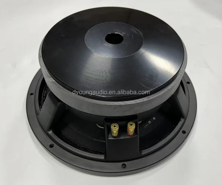 ​ ​ 12" professionele mid-bass-luidspreker - 220 mm magneet en 100 mm spreekspoelwoofer (1000 W RMS, krachtig PA-systeem, toerwaarde kast