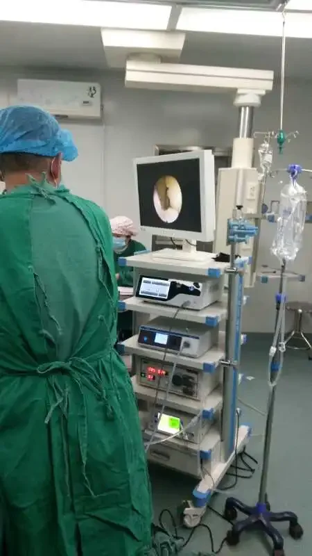 Medical endoscope system/Surgical HD endoscope system /Video endoscope system