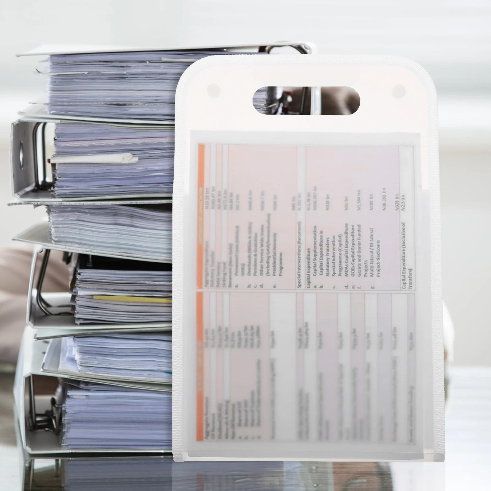 

Expandable File Folder Large Capacity A4 Document Organizer Receipts Checks Bills Storage Portable Standing Folder Office