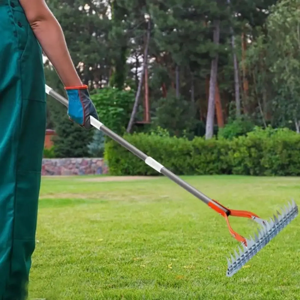 

Stainless Steel Detachable Lawn Thatch Rake Durable Versatile Garden Leaf Rake Combs Turf Removable Thatch Rake Outdoor Farm