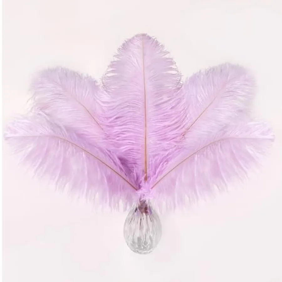 

Soarer Ostrich Feathers Bulk - 15pcs 10-12 Inch for Wedding Party Centerpieces, Home Decorations and DIY Crafts