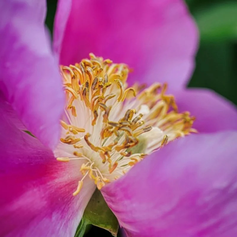 

4pcs 57mm 1.0" Metal Beadlock Wheel Tire Set For 1/18 RC Crawler Car TRX4M SCX24 FMS24 Upgrade Parts Accessories