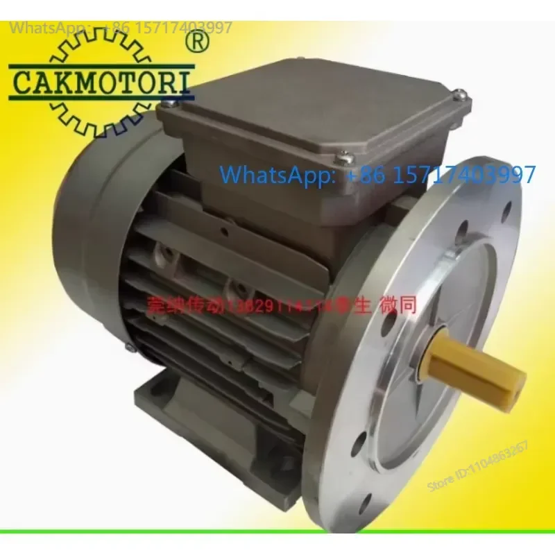 220 380 440 460V three phase asynchronous motor