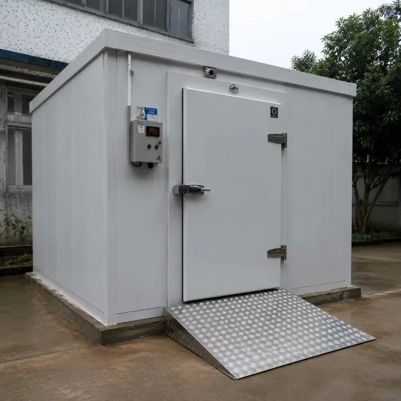 Hot Sale Commercial Walk-In Mobile Coolroom Quick-Frozen Blast Freezer Low Temperature Cold Room Storage