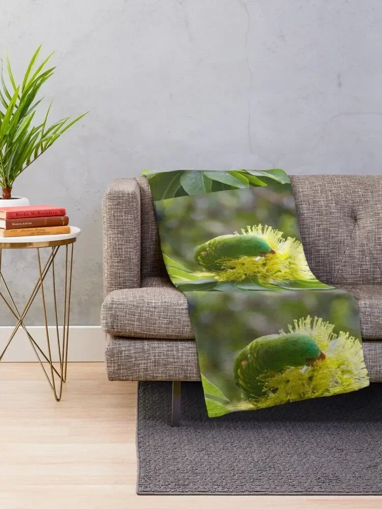 Scaly Breasted Lorikeet Throw Blanket manga Blankets For Bed Shaggy Blankets