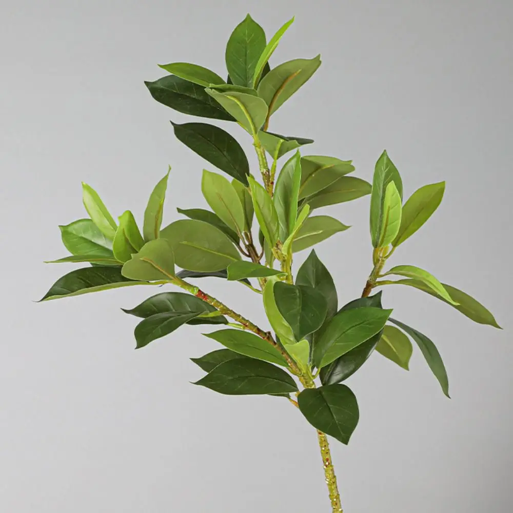 Ramas Artificiales Grandes de Fagraea, Ramas Artificiales Realistas Hechas a Mano de Ilex Chinensis, Ramas de Pachira Elegantes con Tacto Real