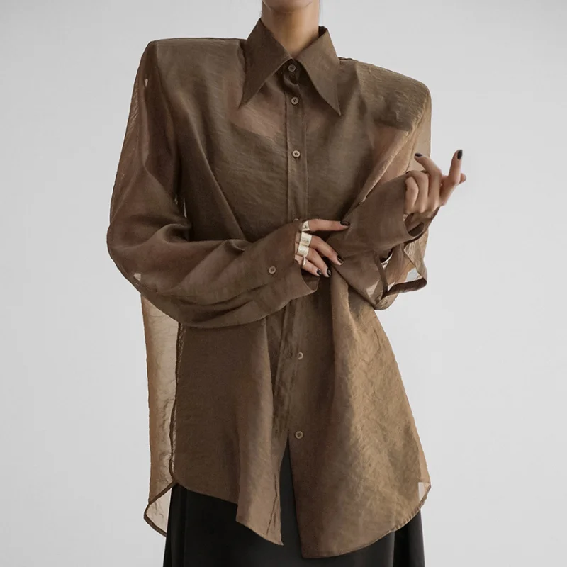 

European and American Style Mesh Long Sleeve 's Shirt Spring Summer New High-end Loose Top Women