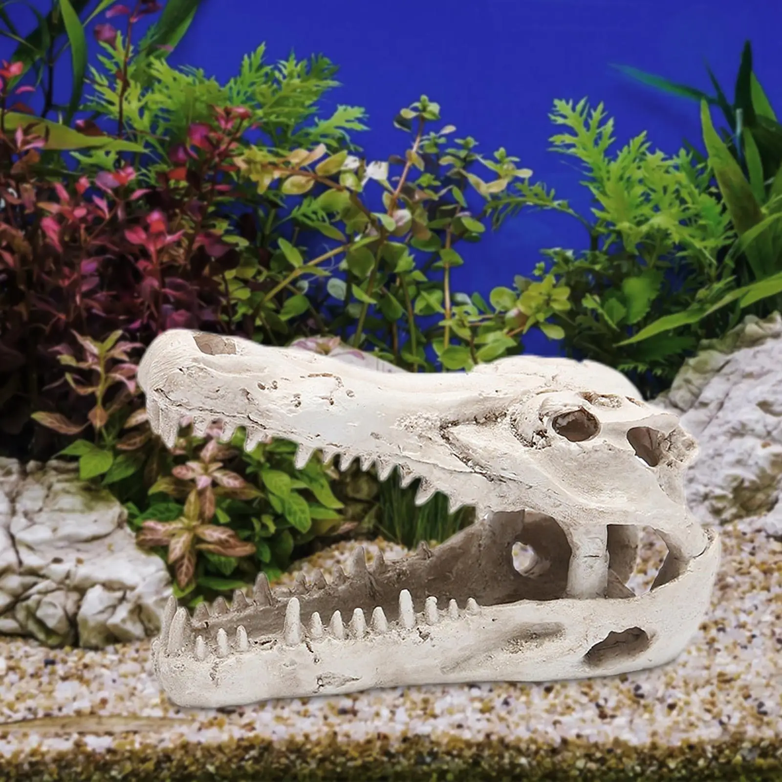 Aquarium Decoration…