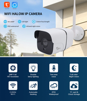 IP Camera 2MP Tuya WIFI HaLow IP Camera Smart Home Security Protection 1000m Long Distance Night Vision Wifi Security