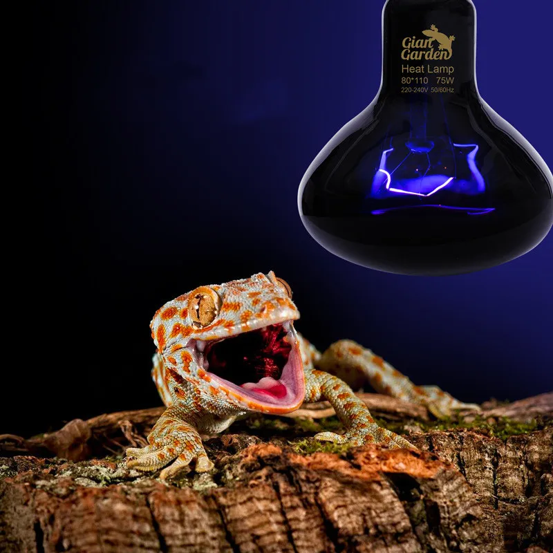 Reptile Night Heating Lamp Bulb Imitation Moonlight Night Sleep Lighting Lamp for Turtle Lizard Snake Reptile Amphibian Pets E27