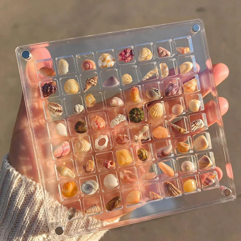 36/64/100 Grids Desk Organizer Acrylic Seashell Display Box with Magnets Starfishs Trinket Storage Case for Bead Nail Jewelry