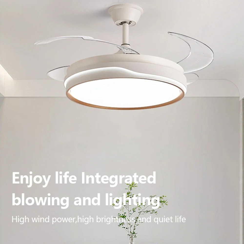 Amazon Hot Sale Decor Forward Reverse 5 Blades Ceiling Fan Light with Remote Wall Control Intelligent Timer